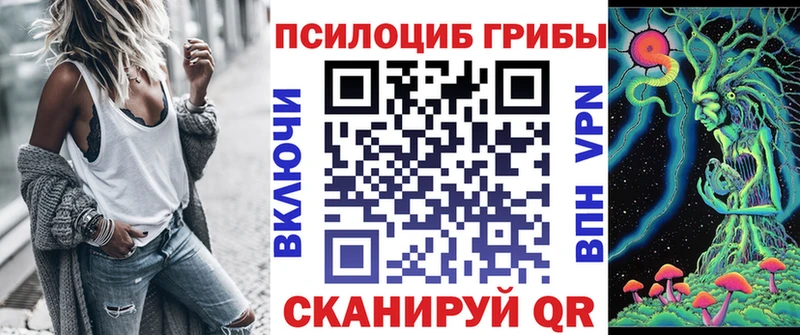 Галлюциногенные грибы Cubensis Черногорск