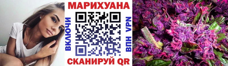 Шишки марихуана план  Черногорск 